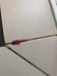 Colorant de recherche de fuite