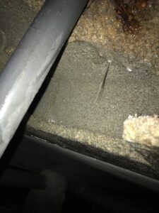 Inspection vide sanitaire