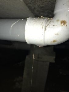 Inspection vide sanitaire