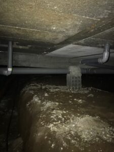 Inspection vide sanitaire