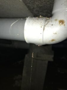 Inspection vide sanitaire & Fuite d'eau