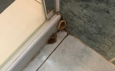 Recherche de fuite à Caudan (Morbihan)