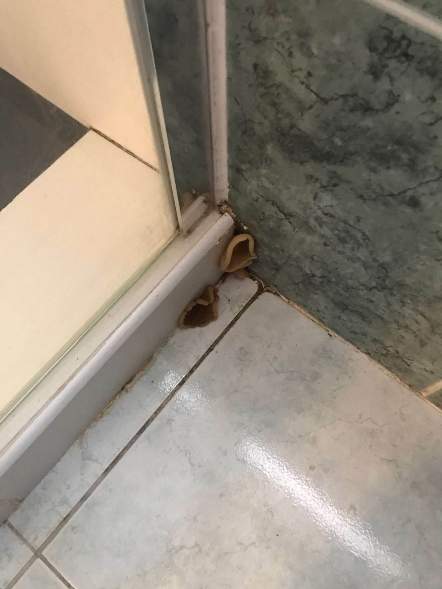 Recherche de fuite à Caudan