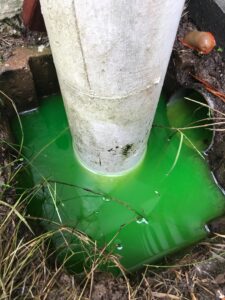 Usage colorant Larmor-Plage