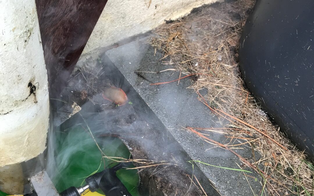 Recherche de fuite extérieure sur évacuations pluviales à Larmor-Plage