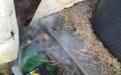 Recherche de fuite extérieure sur évacuations pluviales à Larmor-Plage